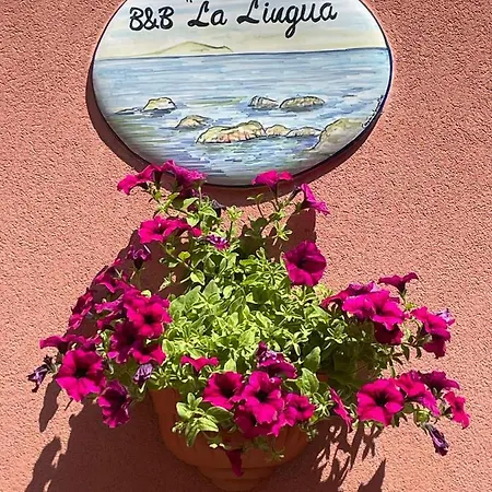 La Lingua Frühstückspension