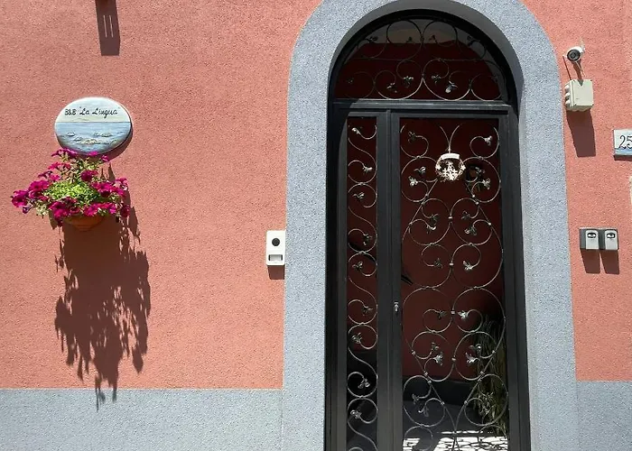 La Lingua プロチーダ